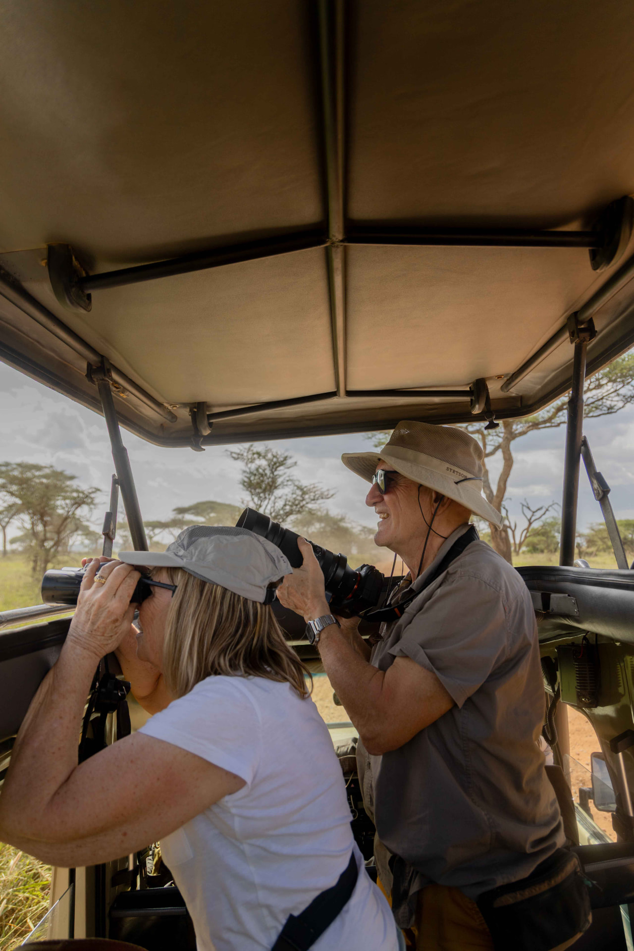 A safari camp at dusk under an acacia tree